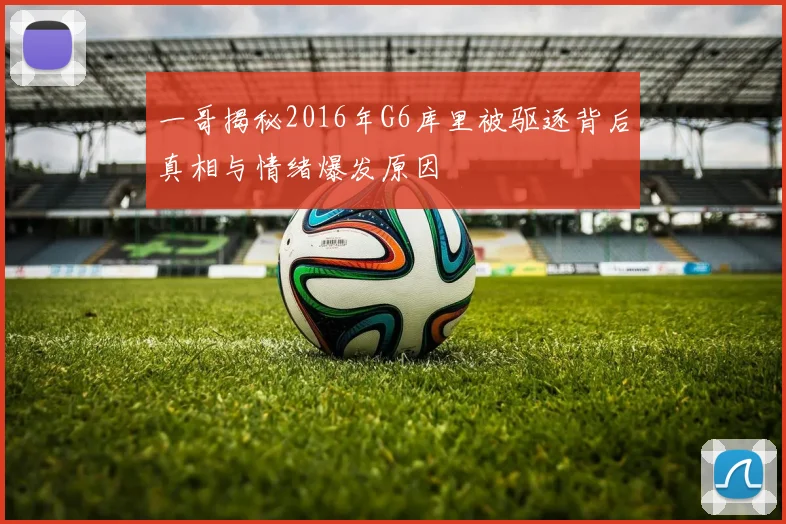 一哥揭秘2016年G6库里被驱逐背后真相与情绪爆发原因